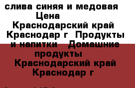 слива синяя и медовая › Цена ­ 20-40 - Краснодарский край, Краснодар г. Продукты и напитки » Домашние продукты   . Краснодарский край,Краснодар г.